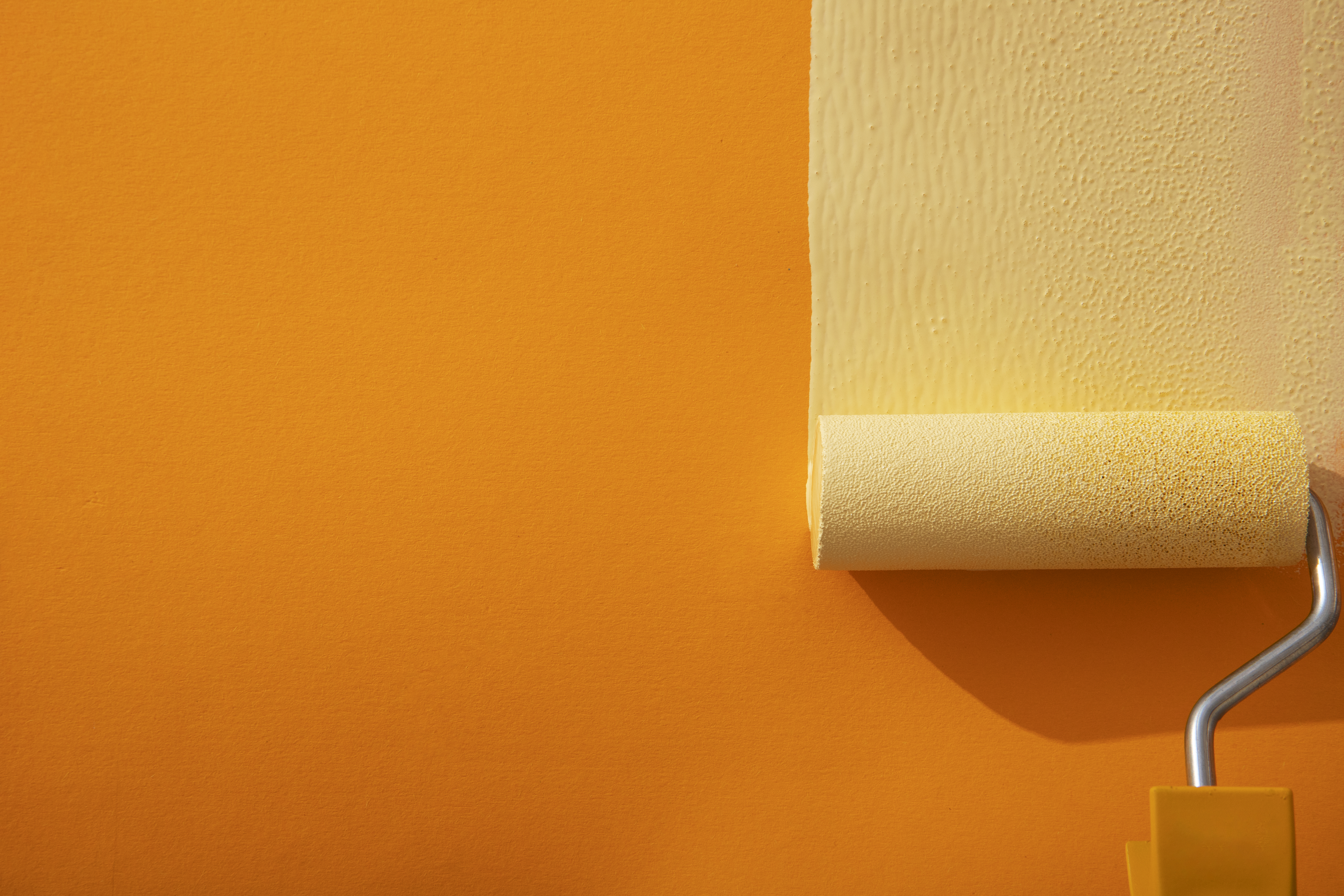 Professional Painter at Work